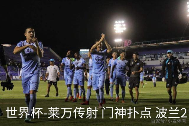 世界杯-莱万传射 门神扑点 波兰2中门框2-0胜沙特
