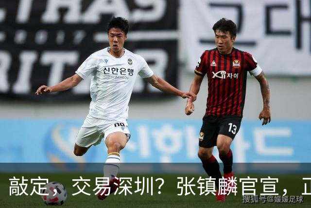 敲定，交易深圳？张镇麟官宣，正式签约，4年2400万，妻子支持